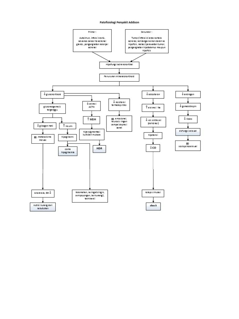 Patofisiologi Penyakit Addison | PDF