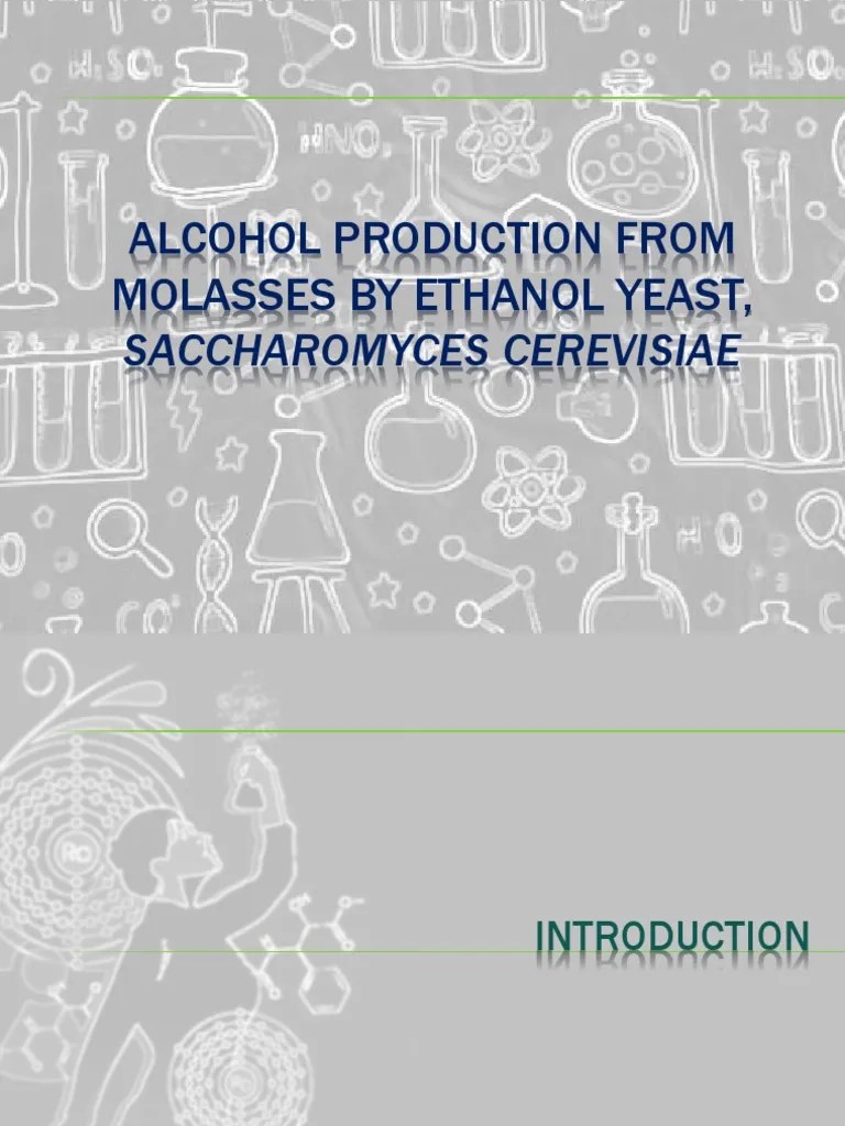 Alcohol Production From Molasses by Ethanol Yeast PDF Molasses Yeast