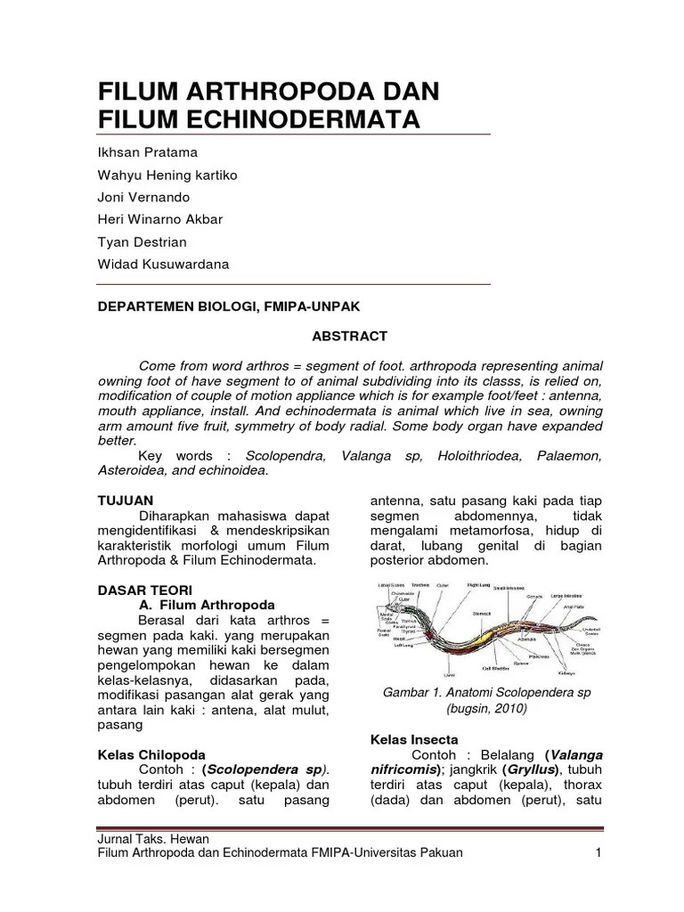 JURNAL FILUM ARTHROPODA PDF
