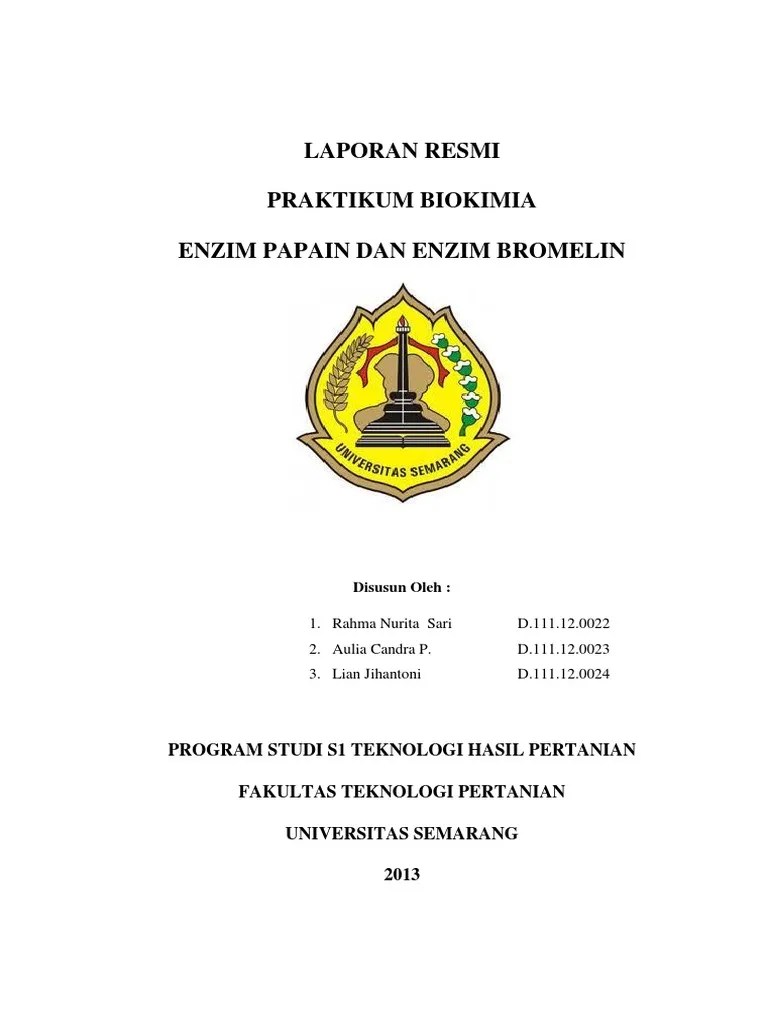Laporan Praktikum Enzim Bromelin Dan Papain Seputar Laporan