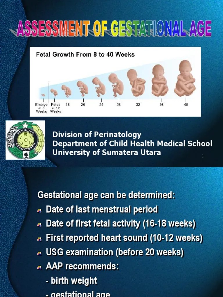 Division of Perinatology Department of Child Health Medical School