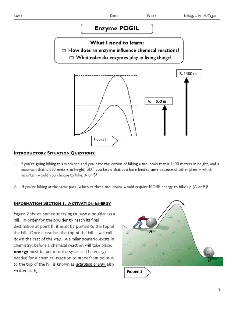 Enzyme Pogil Answer Key Pdf Home Student