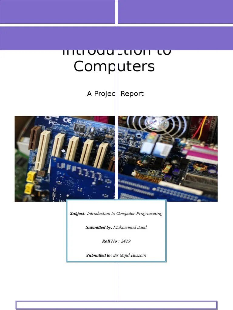 Introduction To Computer Programming Project Report PDF Disk Storage Computer Data Storage
