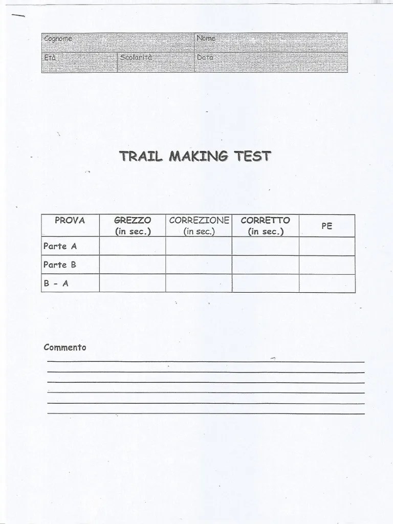 New Trail Making Test