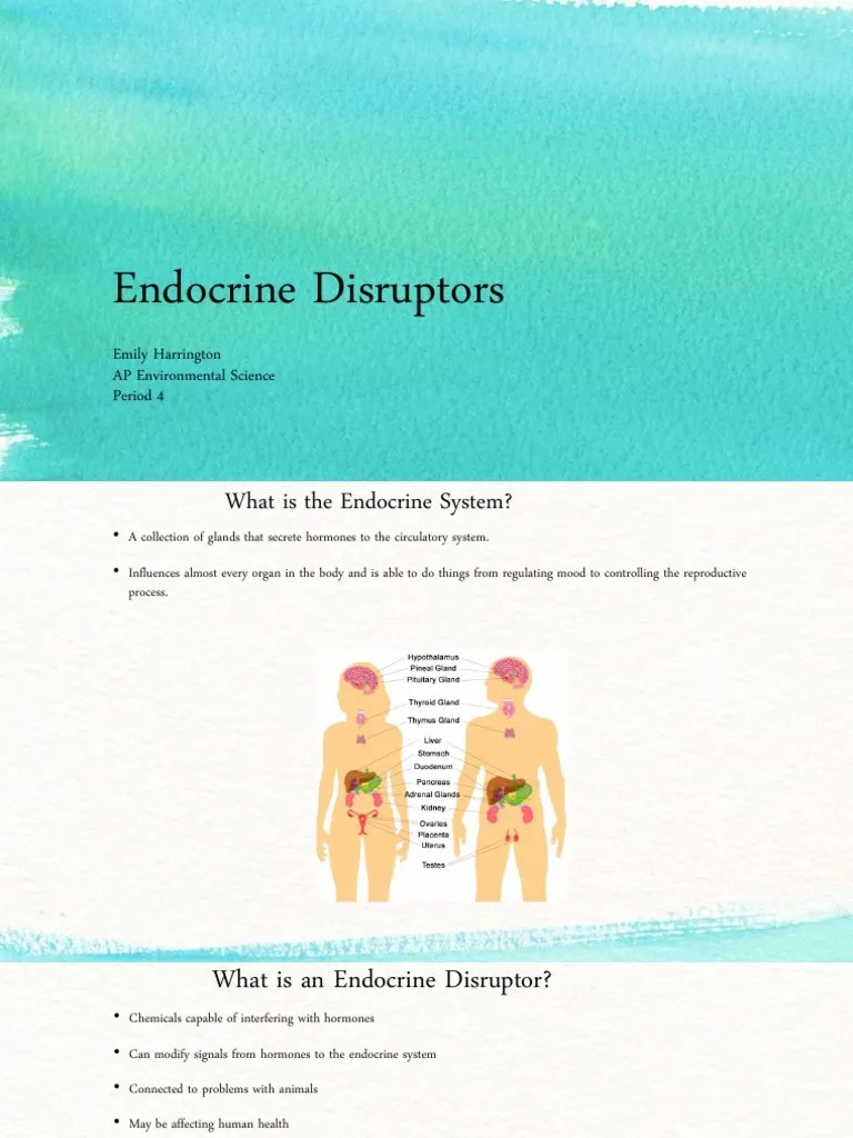 Endocrine Disruptors Emily Harrington AP Environmental Science Period