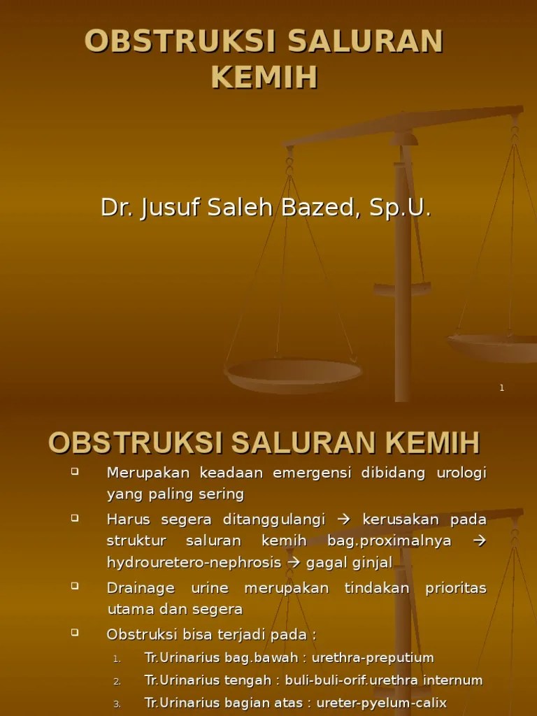 219139016 Obstruksi Saluran Kemih