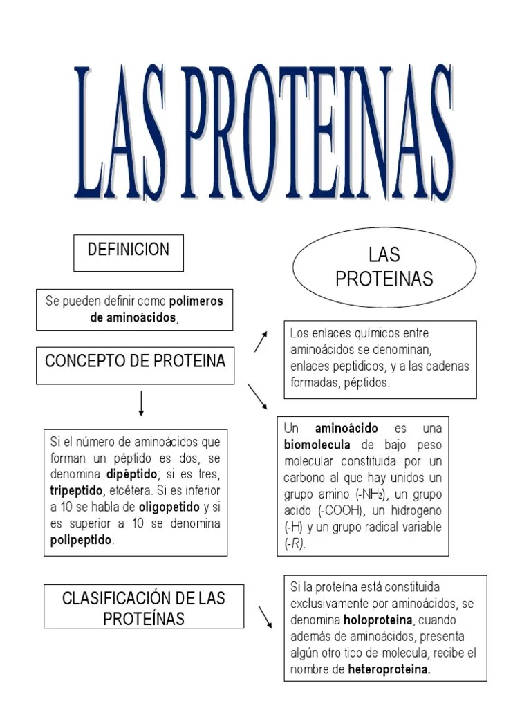 Las Proteínas, Mapa Mental