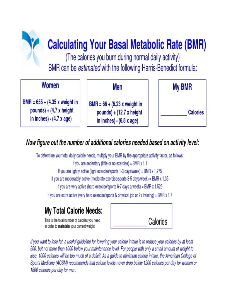 BMR Calculation PDF
