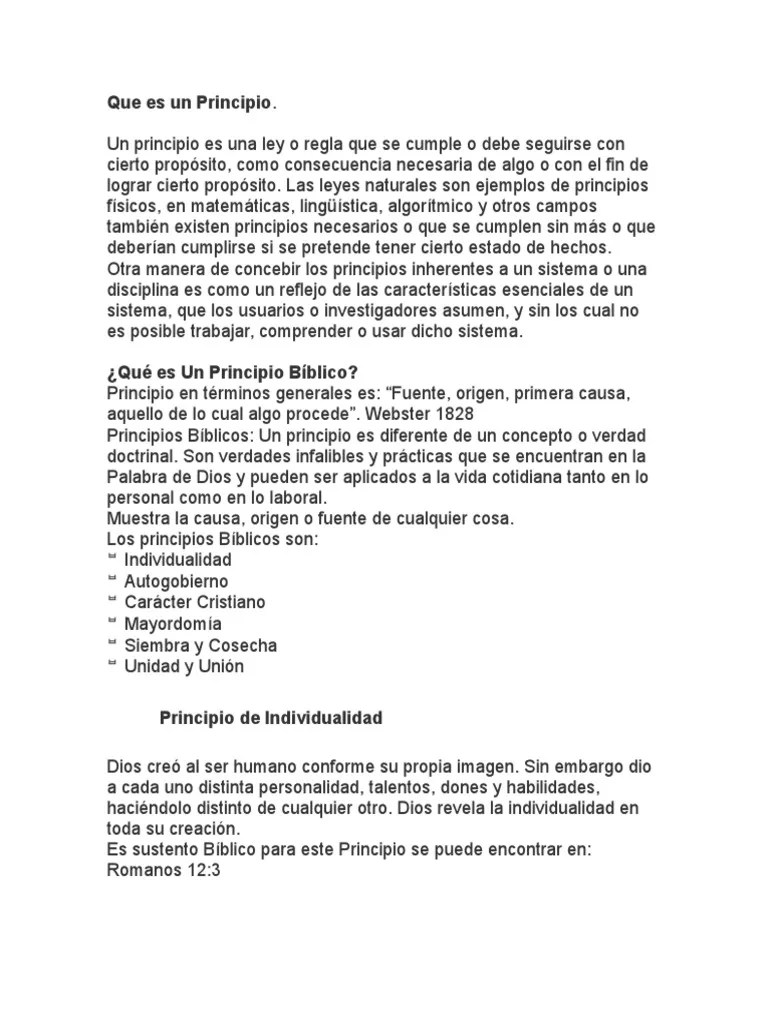 Que Es Un Principio PDF Dios Verdad