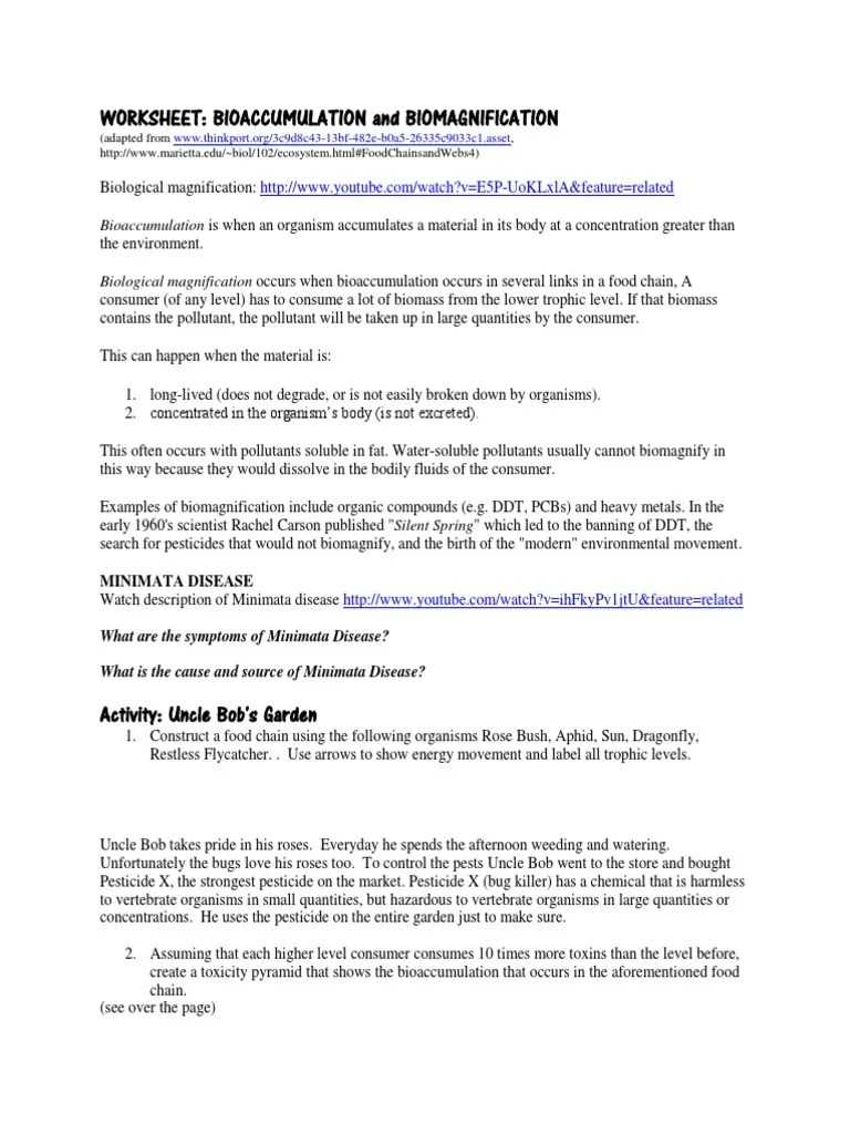 bioaccumulationbiomagnification worksheet Human Impact On The