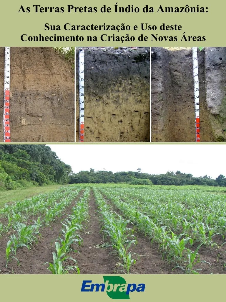 As terras pretas de índio da Amazonia Floresta Amazônica Erosão