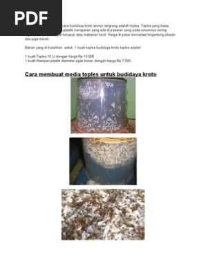 Salah Satu Media Untuk Cara Budidaya Kroto Semut Rangrang Adalah Toples  Download | PDF