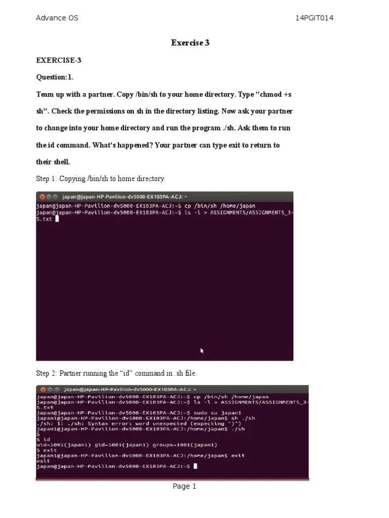 Exercise 3 Step 1 Copying /bin/sh To Home Directory PDF Unix