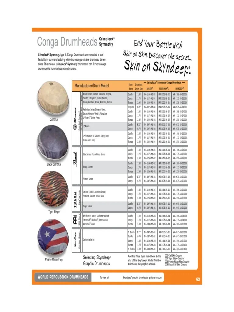 Remo Conga and Bongo Head Chart PDF Caribbean Music Latin