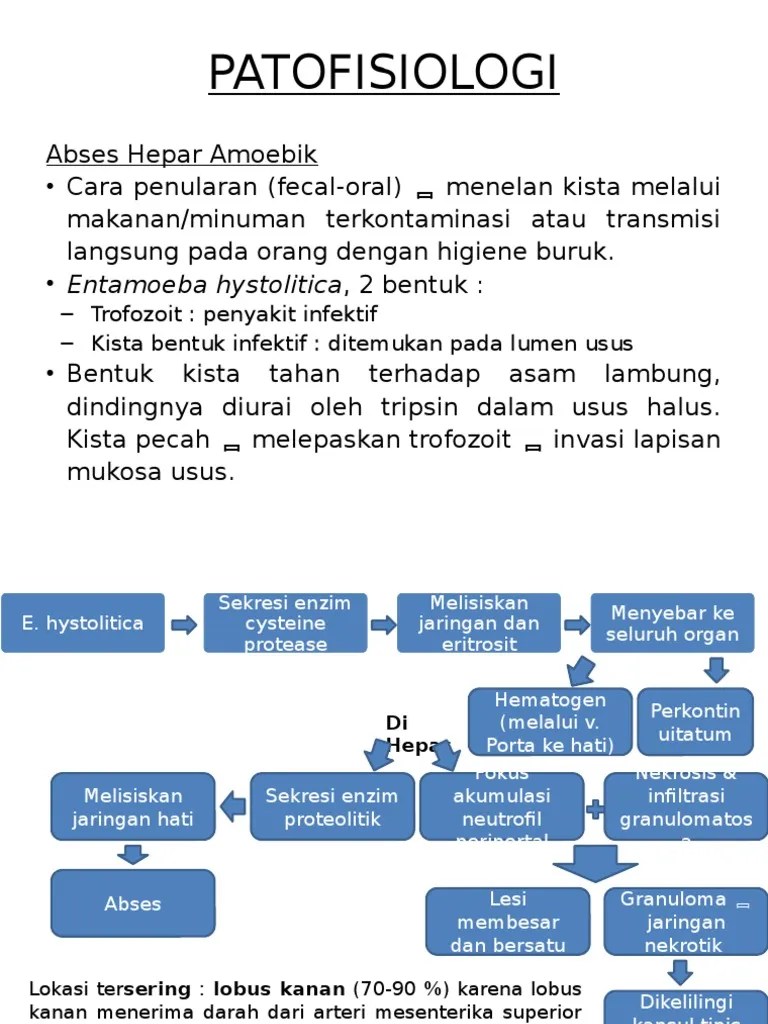 PATOFISIOLOGI