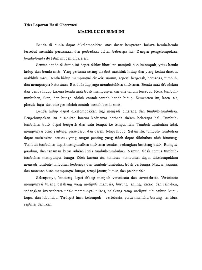 Teks Observasi Contohnya