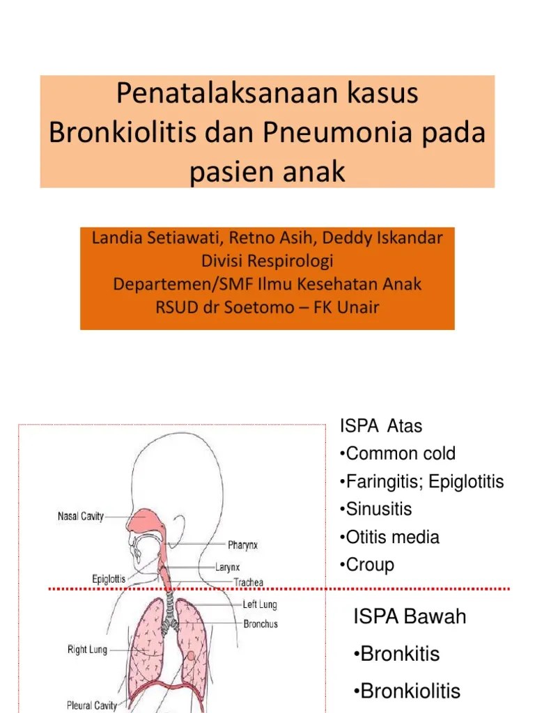 1.Penatalaksanaan Kasus Bronkiolitis Dan Pneumonia Pada Pasien Anak