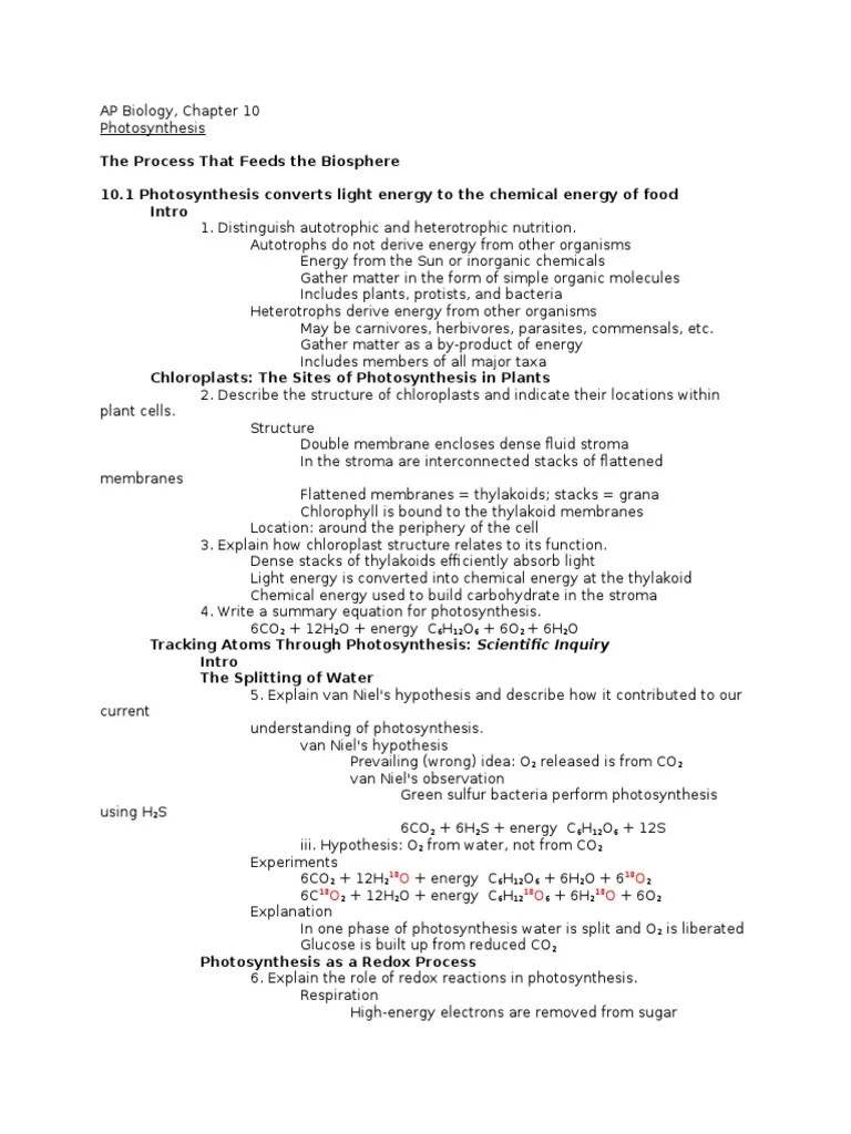 AP Biology Chapter 10 Notes Photosynthesis PDF Photosynthesis