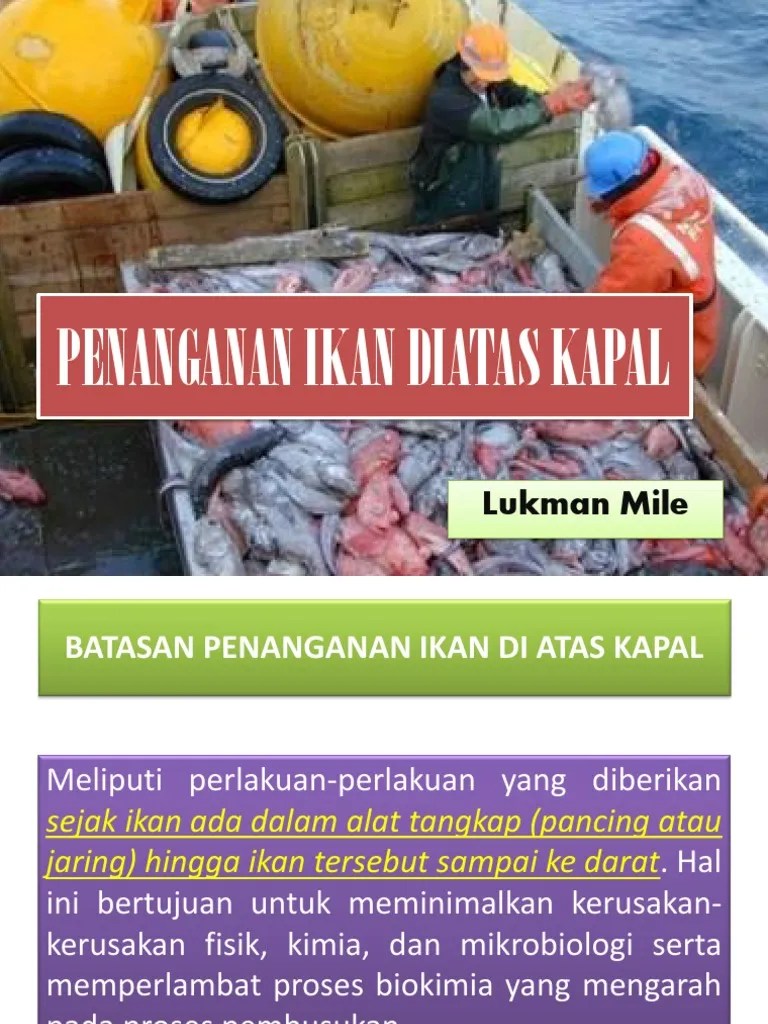 PENANGANAN Ikan Dilaut | PDF