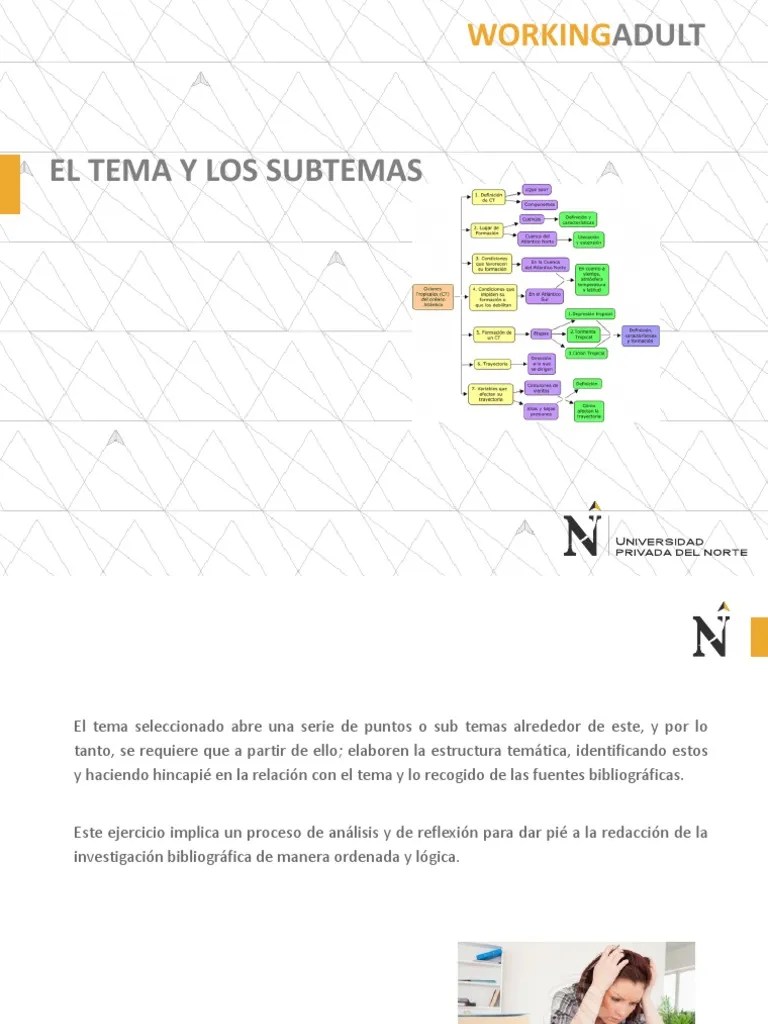 5 El Tema y El Subtema