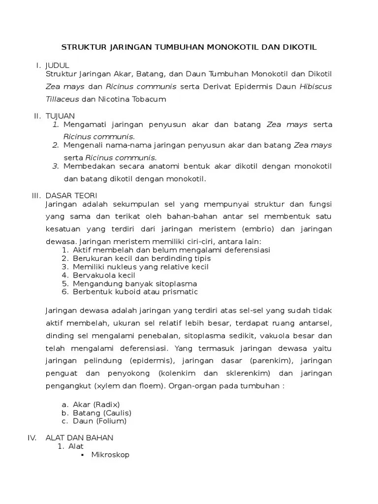 Contoh Teks Laporan Percobaan Jaringan Floem Guru Pendidikan