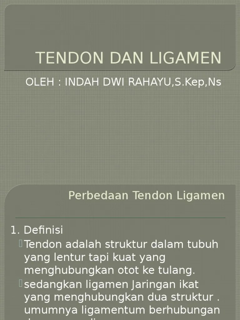 Tendon Dan Ligamen | PDF