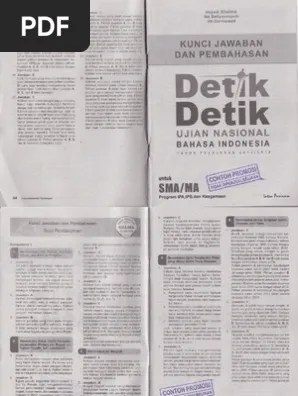 Kesiapan belajar menjadi hal yang penting d. Buku Detik Detik Un Sd 2019 Pdf Ilmu Soal