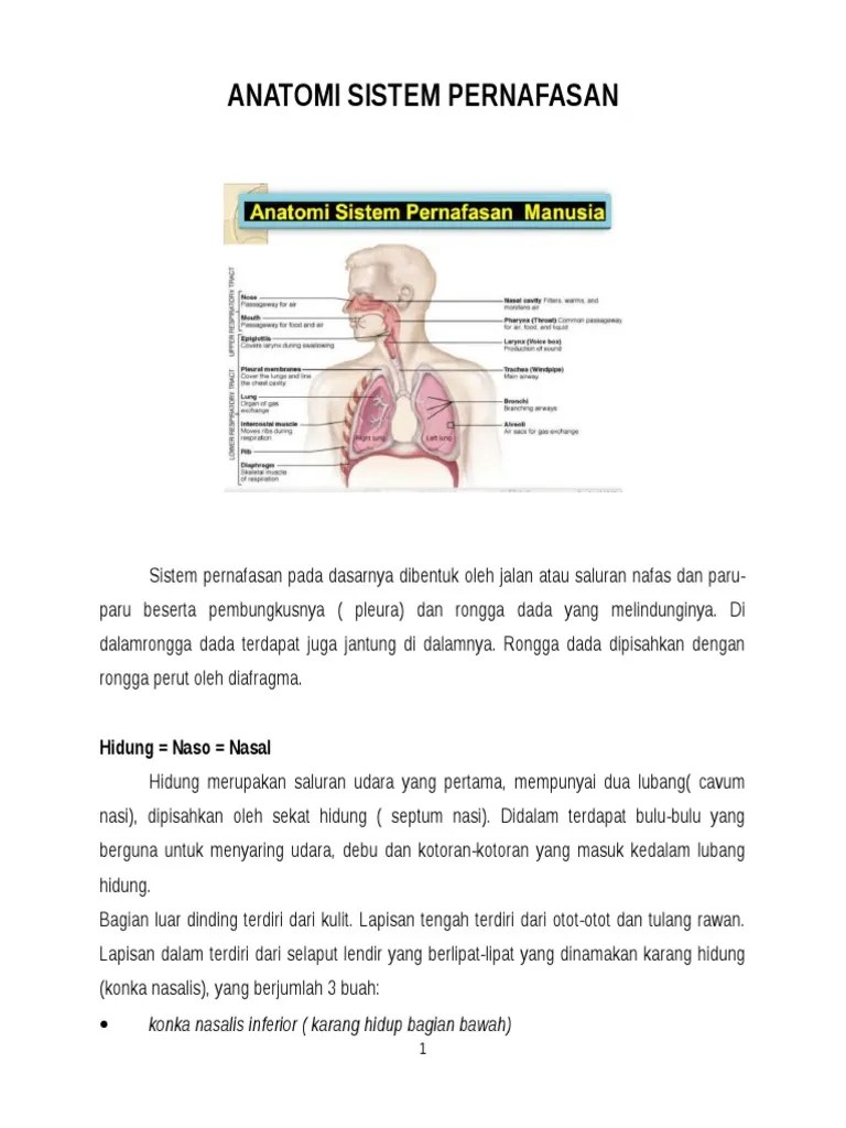 Asuhan Keperawatan Pada Pasien Pneumonia