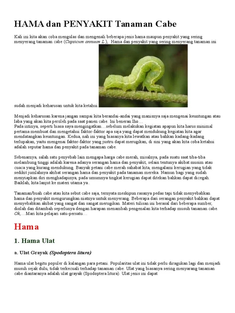 Hama Dan Penyakit Tanaman