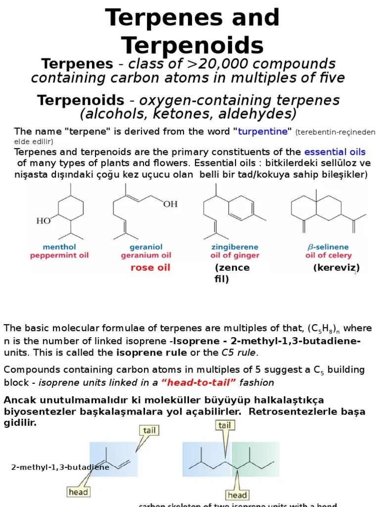 terpenesandterpenoids.ppt Natural Products Organic Compounds