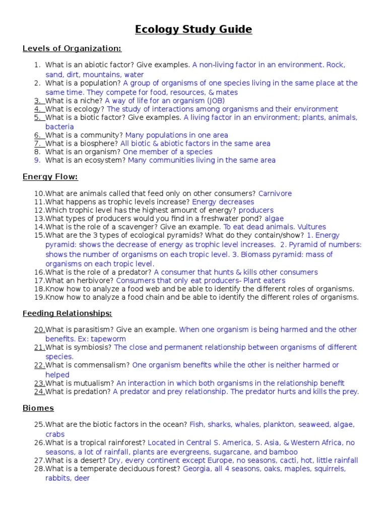 13key Food Ecology Web Study Guide