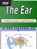 Daftar Penyakit Icd 10 Human Nose Ear