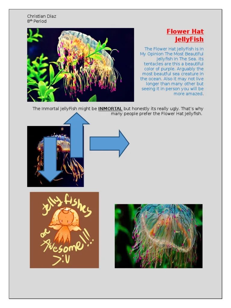 Flower Hat Jellyfish PDF