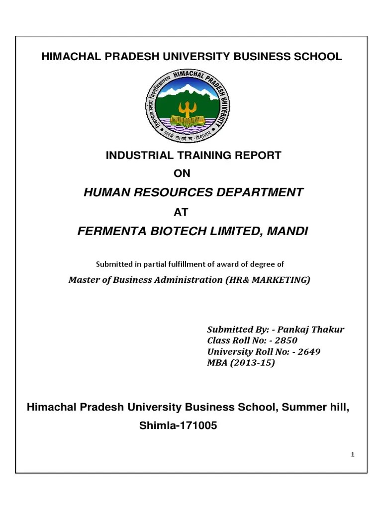 MBA Internship Report Recruitment Employment