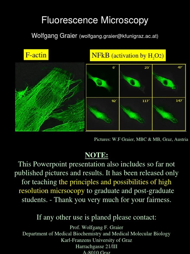 FluorescenceMicroscopy inPharmacology.ppt Fluorescence Microscope