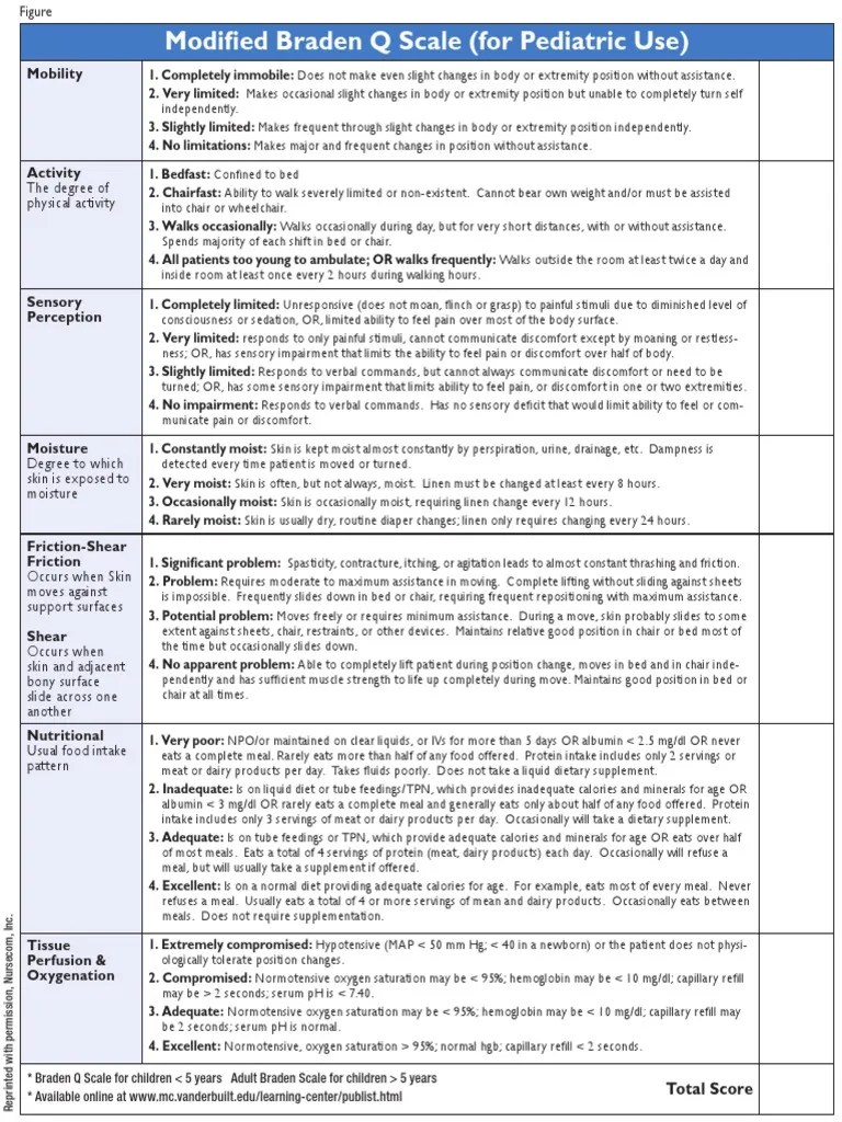 Modified Braden Q Scale Pain Eating