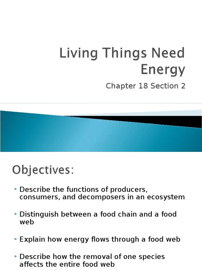 Living Things Need Energy Ch 18.2 7th Food Web Ecosystem