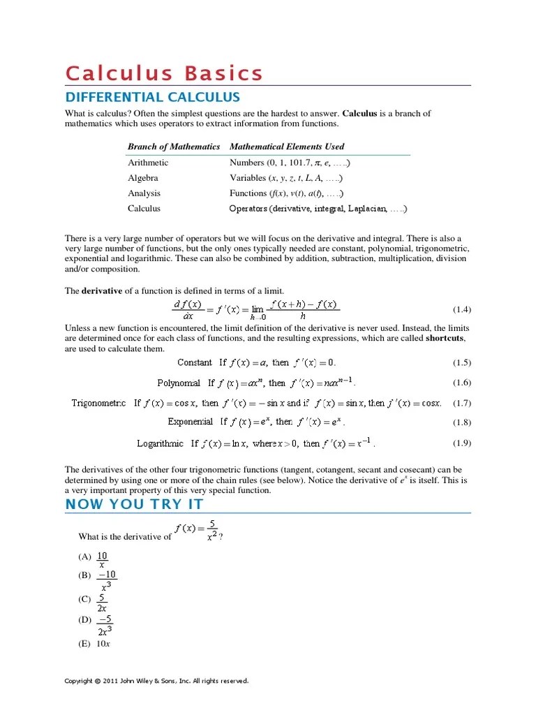 Calculus Basics Integral Differential Calculus