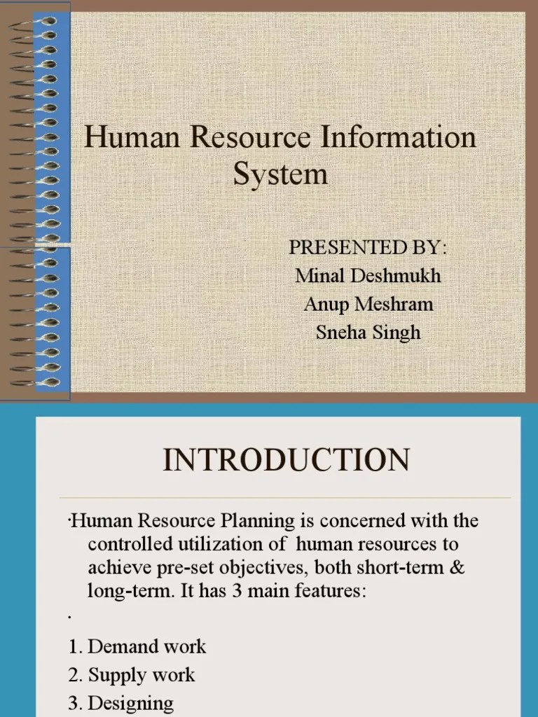 Human Resource Information System PDF Computing Economies