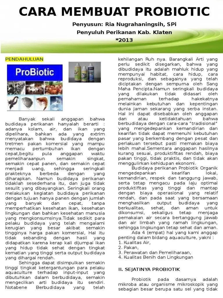 Leaflet Cara Membuat Probiotik | PDF