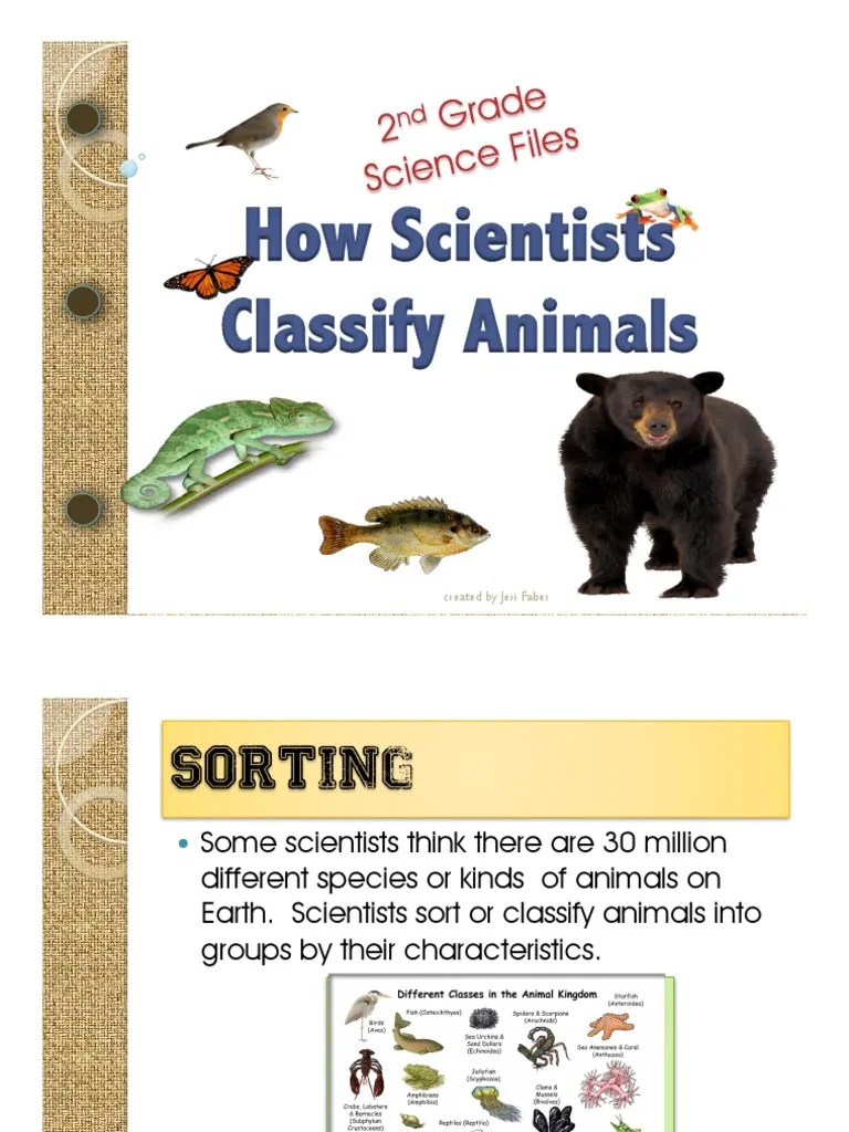 biodiversity how scientists classify animals.pdf
