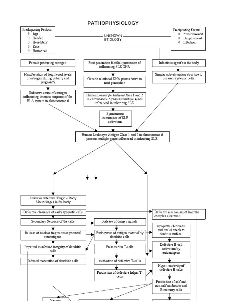 Concept Map For Systemic Lupus Erythematosus Systemic Lupus Erythematosus Pathophysiology Systemic Lupus