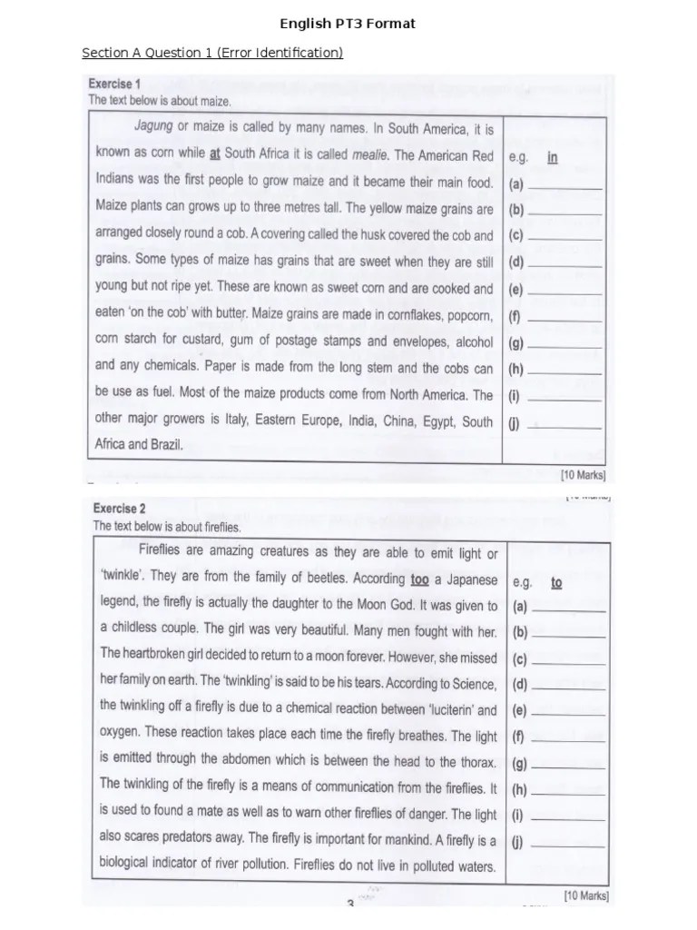 Pt3 Error Identification Exercises With Answers Pdf