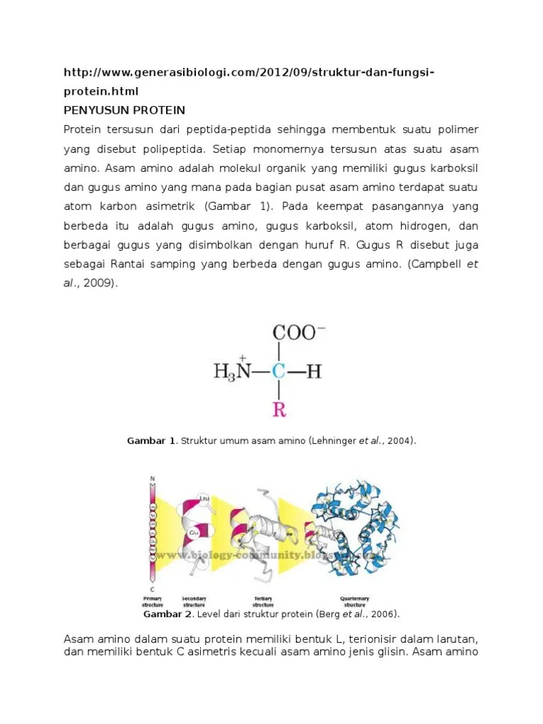 Struktur Protein | PDF