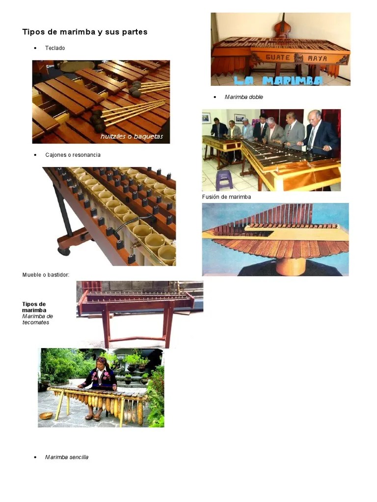 Tipos de Marimba y Sus Partes PDF