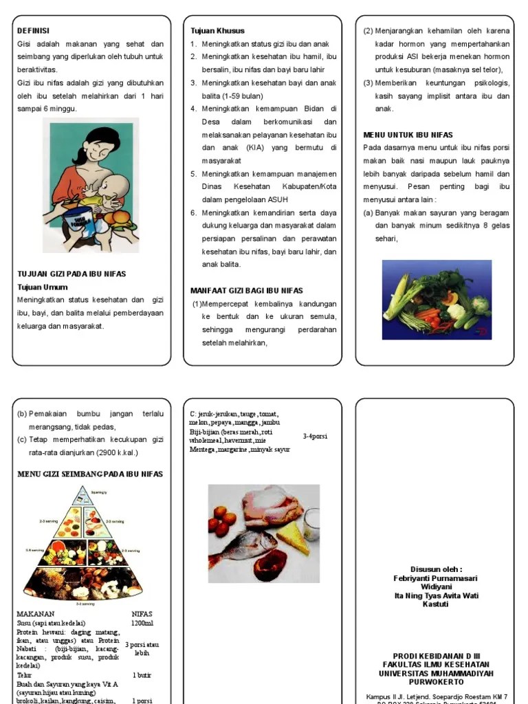 Leaflet Gizi Untuk Ibu Nifas | PDF