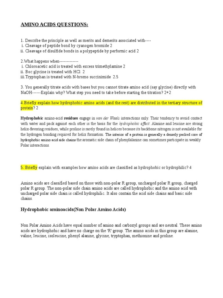 Amino Acids Questions PDF Amino Acid Alpha Helix