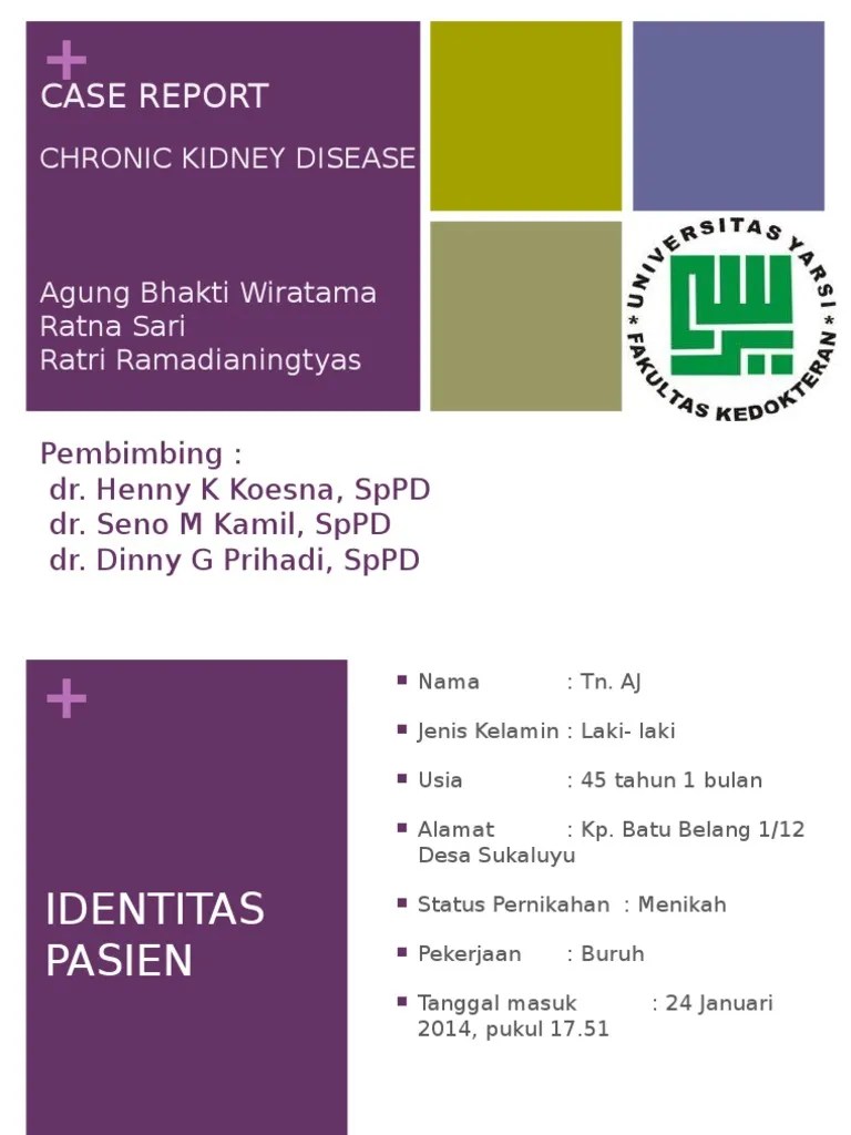 Case Report Chronic Kidney Disease PDF