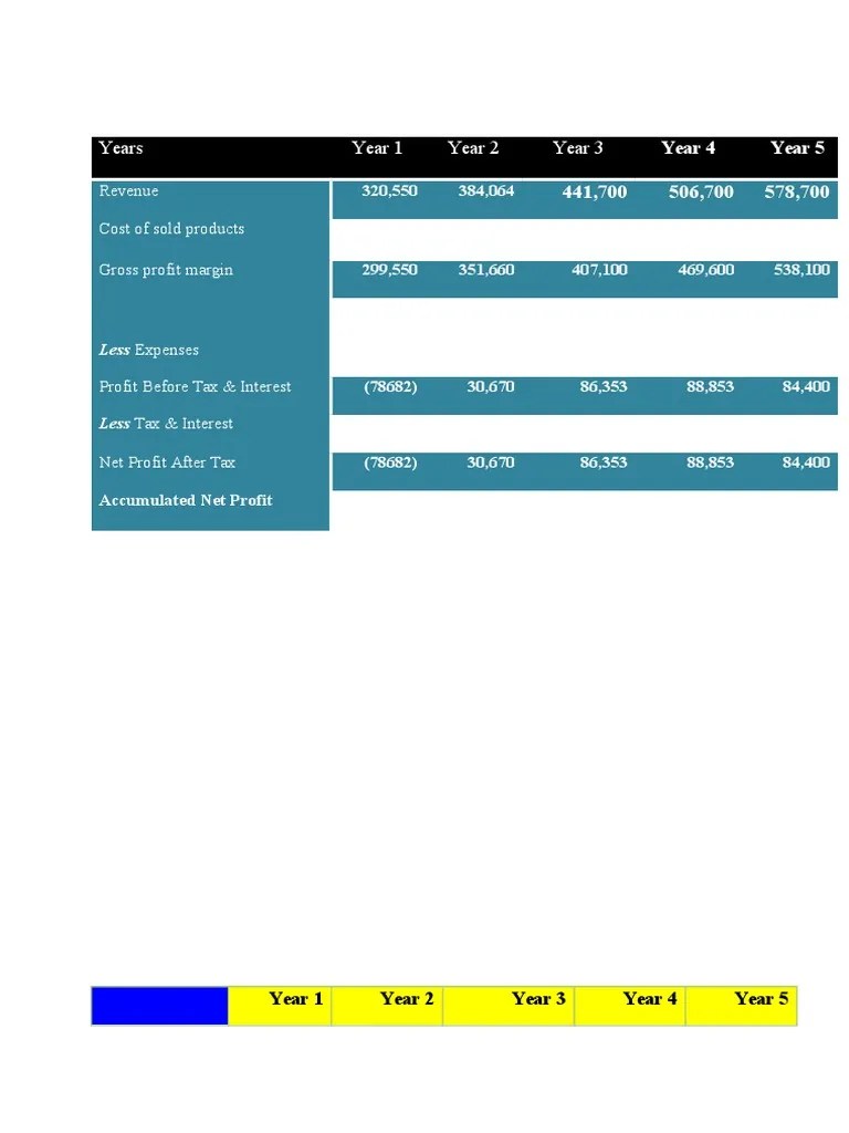 Financial Template PDF