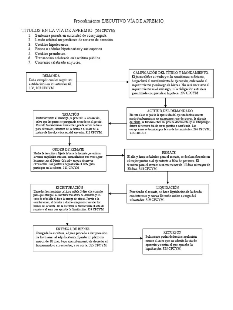 Esquema Vía de Apremio Subasta Gobierno